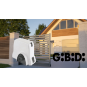 GiBiDi