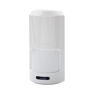 DUAL detector 15m