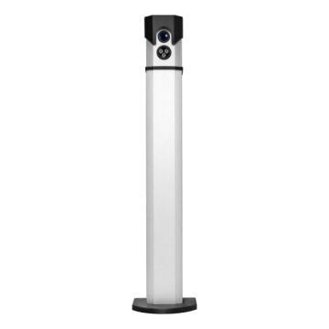 ANPR camera iZERO2 in paal, 2,3MPix - 6mm met OCR