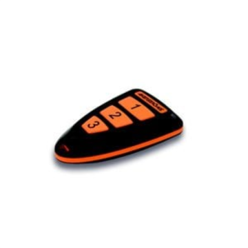 Sesam 800 Keyring